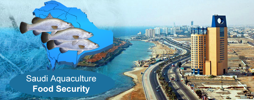 The Importance of Aquaculture for Kingdom of Saudi Arabia 