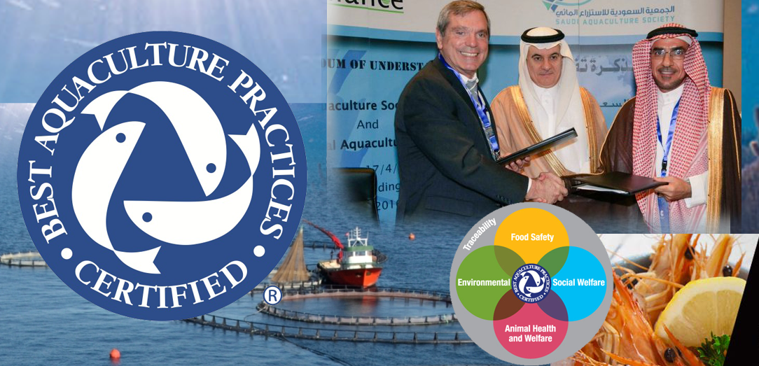 منتدى حول تطبيق افضل ممارسات الاستزراع المائي في  المملكة العربية السعودية 4 سبتمبر