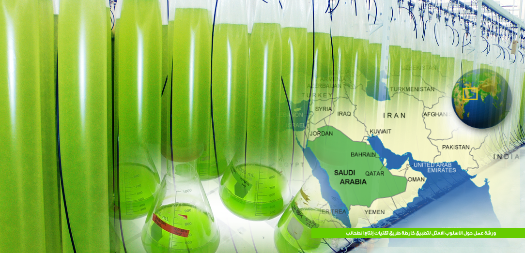 Under the sponsorship of the Deputy Minister for Fishery Resources, holding a workshop around the best way to apply the road map of algae producing techniques in the Kingdom of Saudi Arabia, Sunday 12 February.