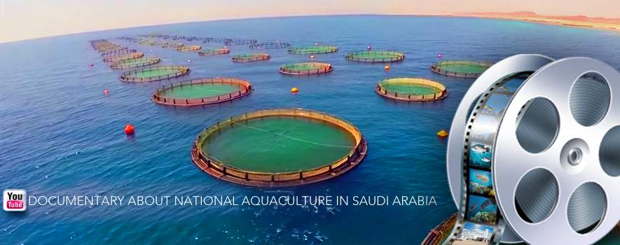 وزارة الزراعة تطلق فلم جديد حول الاستزراع المائي في المملكة العربية السعودية 