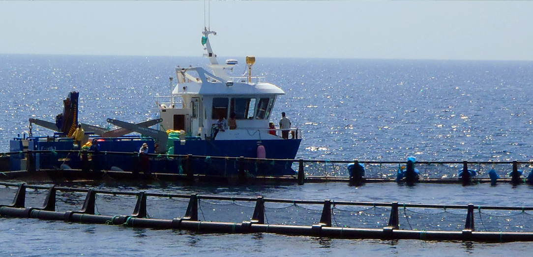 Training course on floating cages culture systems and selection of site