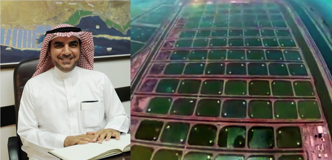 مساعي حثيثة تبذل لتفعيل دور التامين على قطاع الاستزراع المائي في المملكة العربية السعودية 