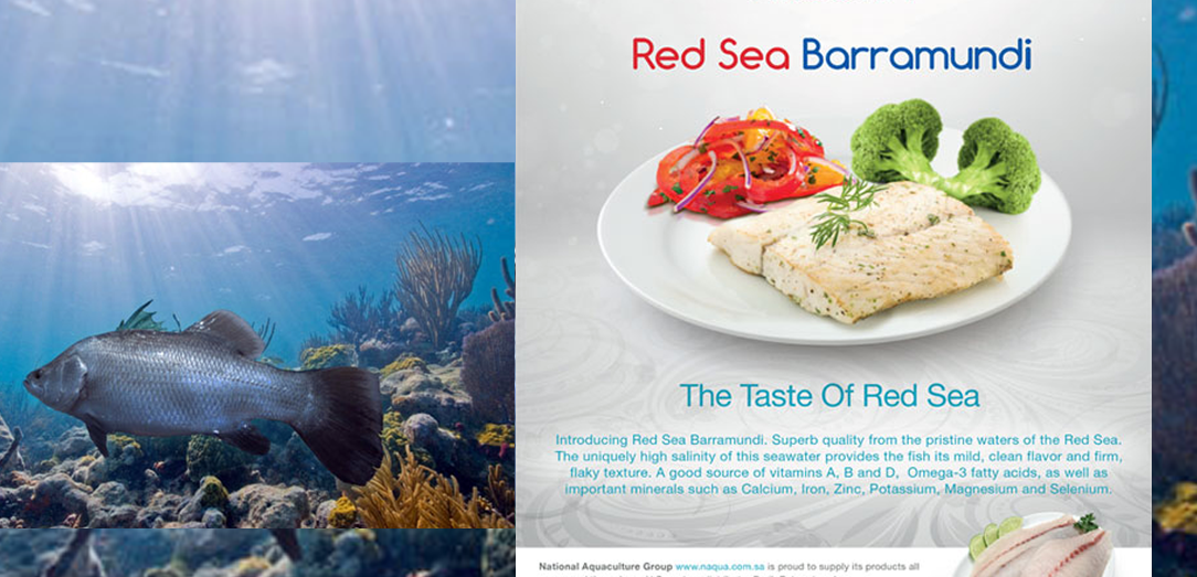 حملة ترويجية لسمك البارموندي Red Sea Barramundi  البحر الاحمر المنتج من قبل المجموعة الوطنية للاستزراع المائي في اسواق  الولايات المتحدة الامريكية 