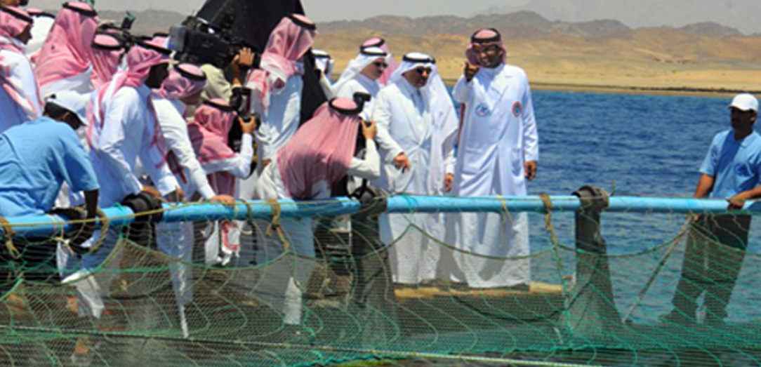 Emir of Tabuk opens number of projects of Tabuk Fish Company