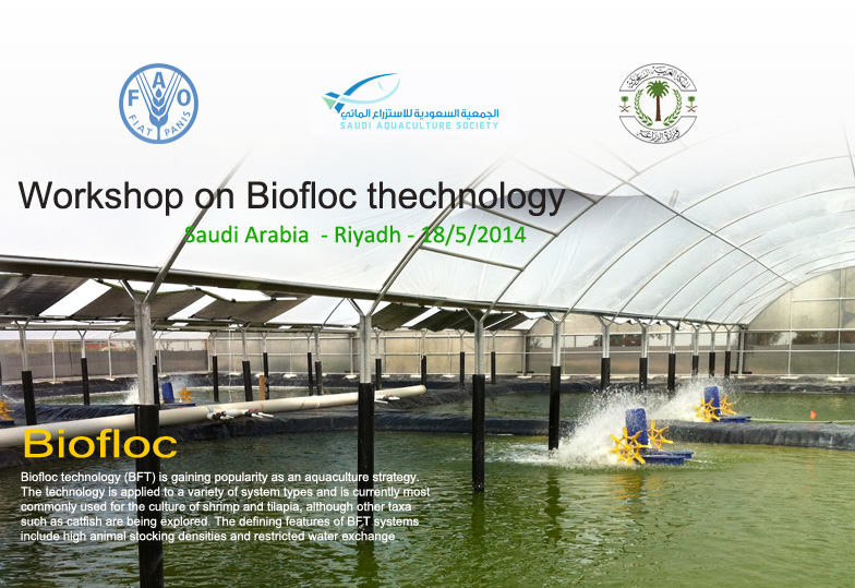 The Biofloc Workshop of the Ministry of Agriculture