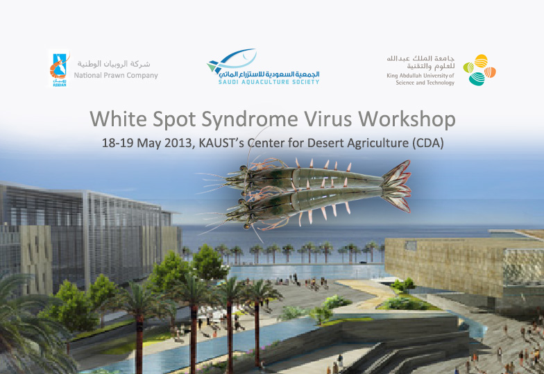 معالجة فيروس البقعة البيضاء WSSV 